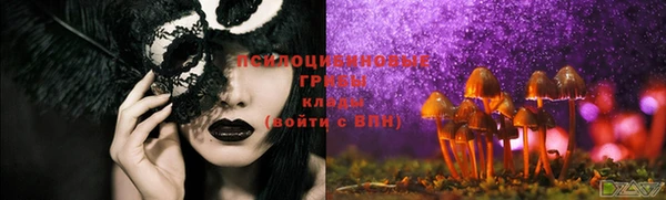 соль курить ск Белокуриха