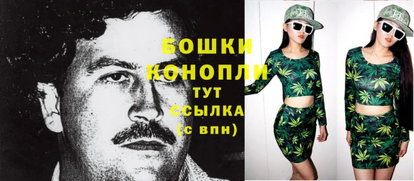 марки lsd Бородино