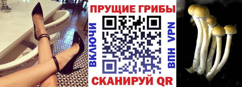 Галлюциногенные грибы мухоморы  где купить наркоту  mega как зайти  Ульяновск 